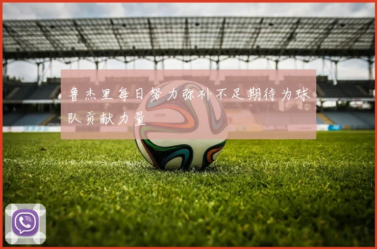 鲁杰里每日努力弥补不足期待为球队贡献力量