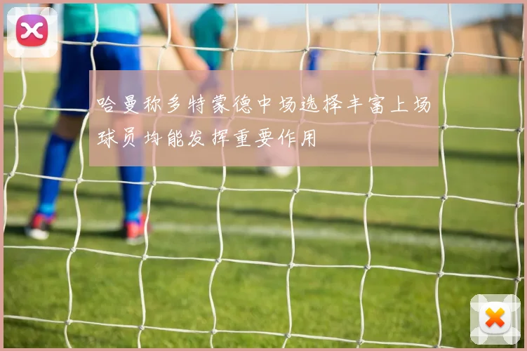 哈曼称多特蒙德中场选择丰富上场球员均能发挥重要作用