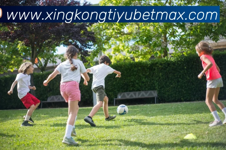 多媒体互动体验